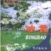 黔南布依族苗族自治州好玩的地方